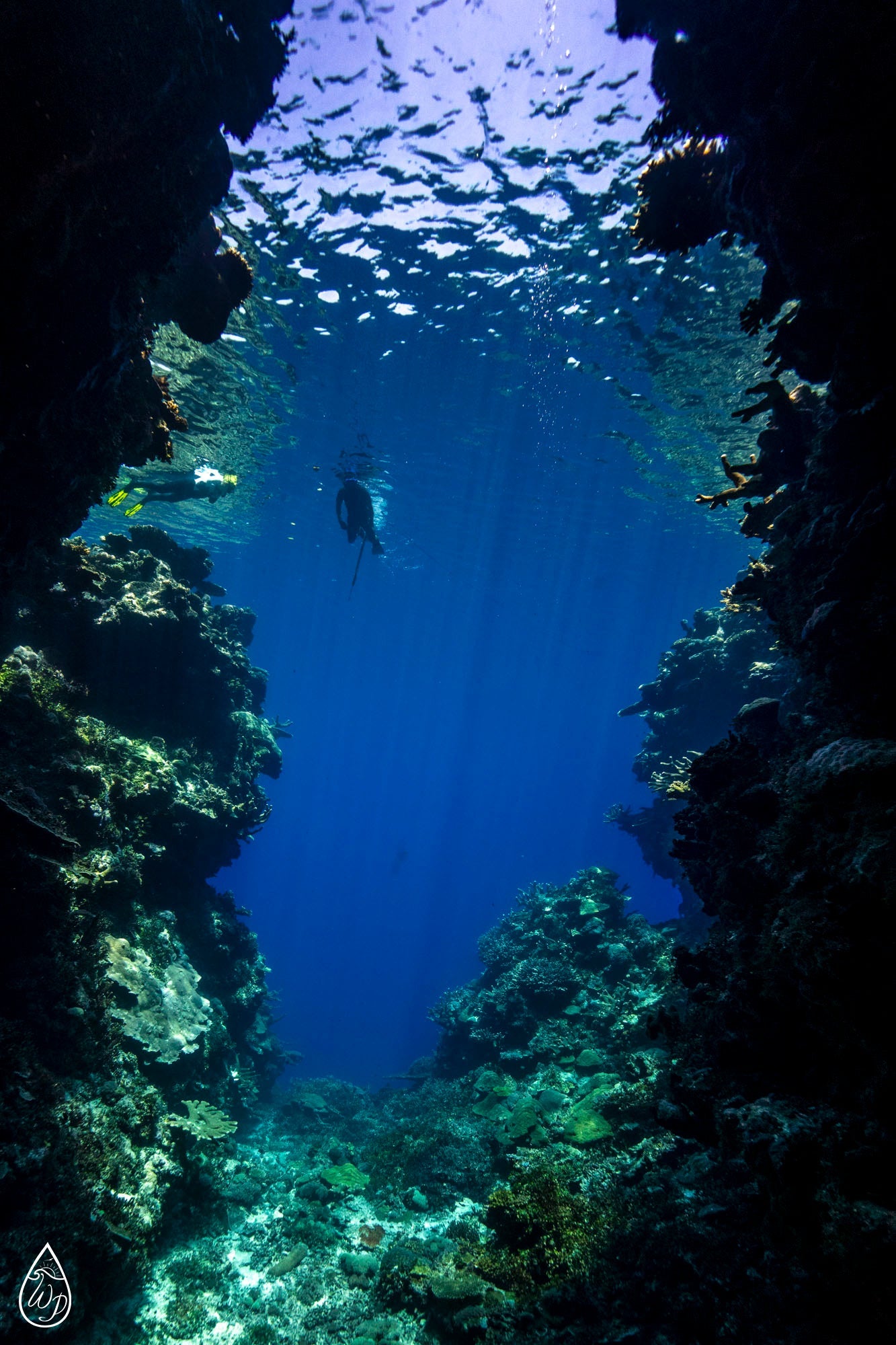 Women's Solomon Islands Spearfishing & Freediving Expedition