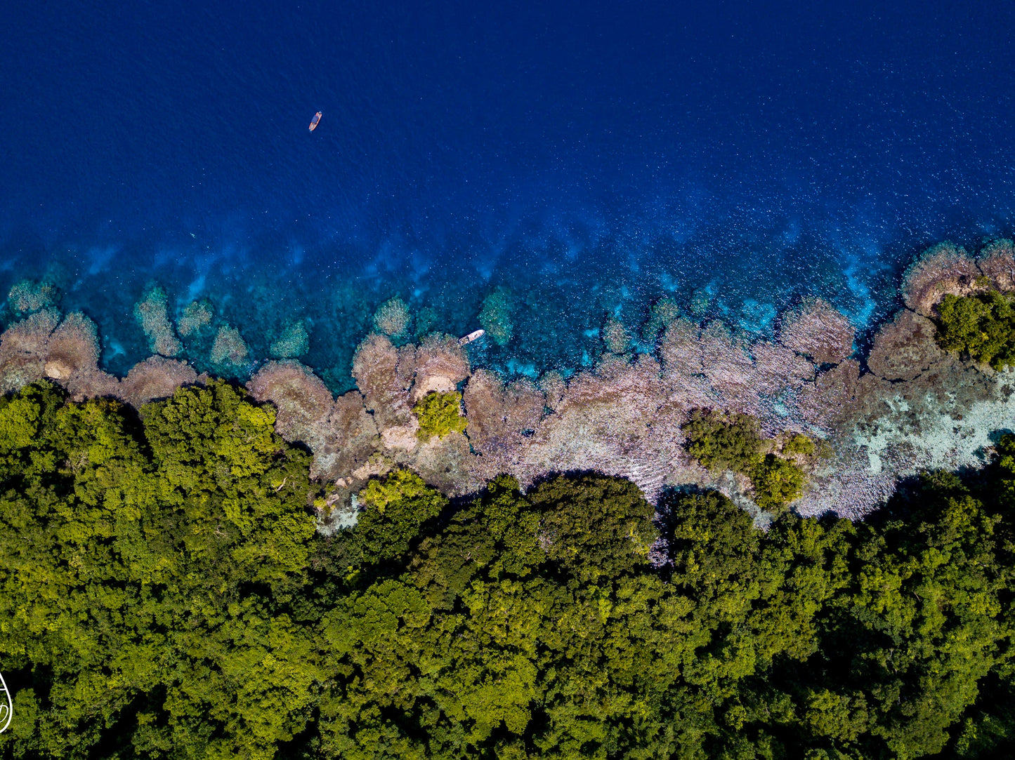 Women's Solomon Islands Spearfishing & Freediving Expedition