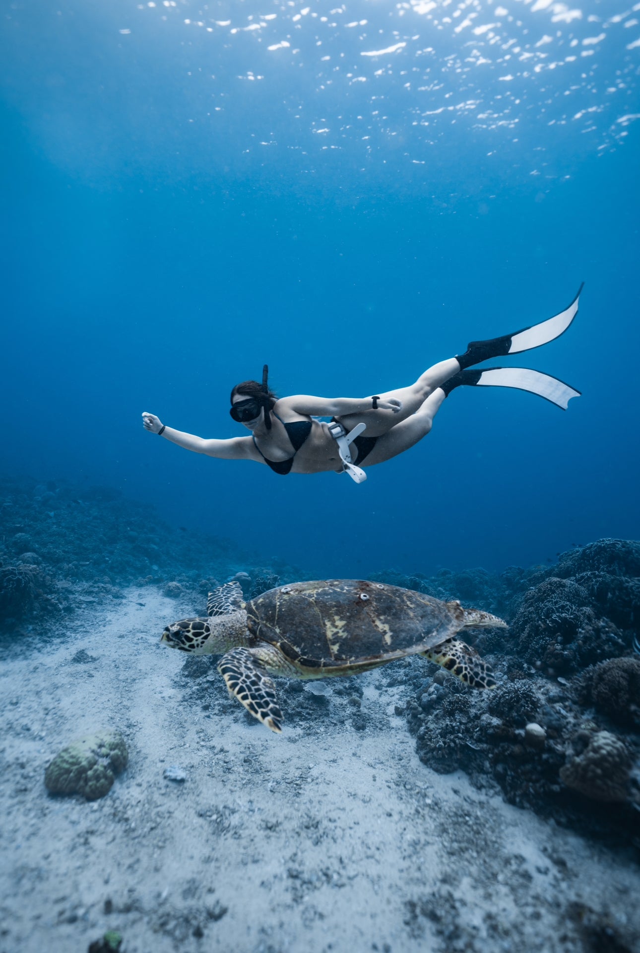 Gili Trawangan Freediving & Spearfishing Retreat
