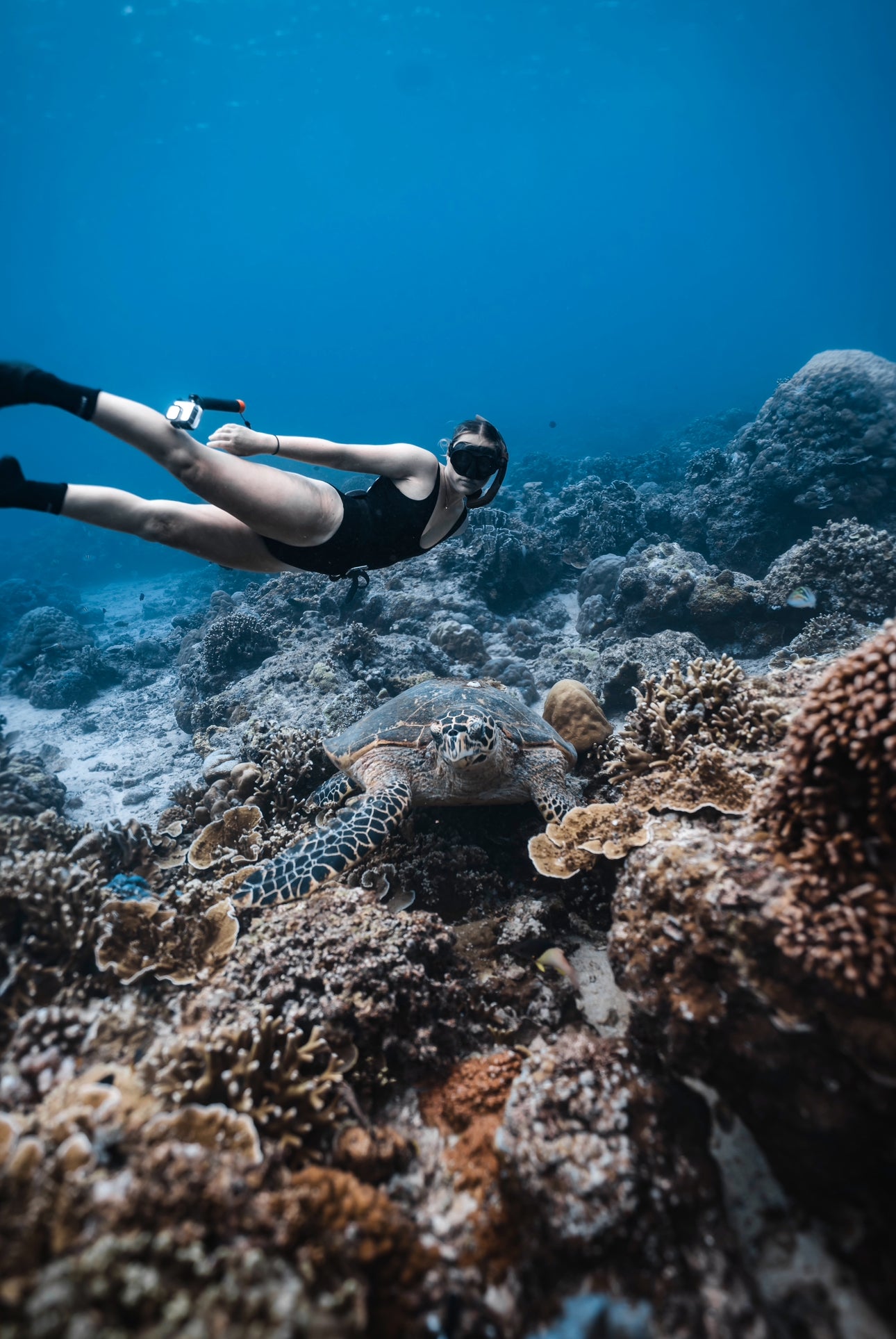 Gili Trawangan Freediving & Spearfishing Retreat