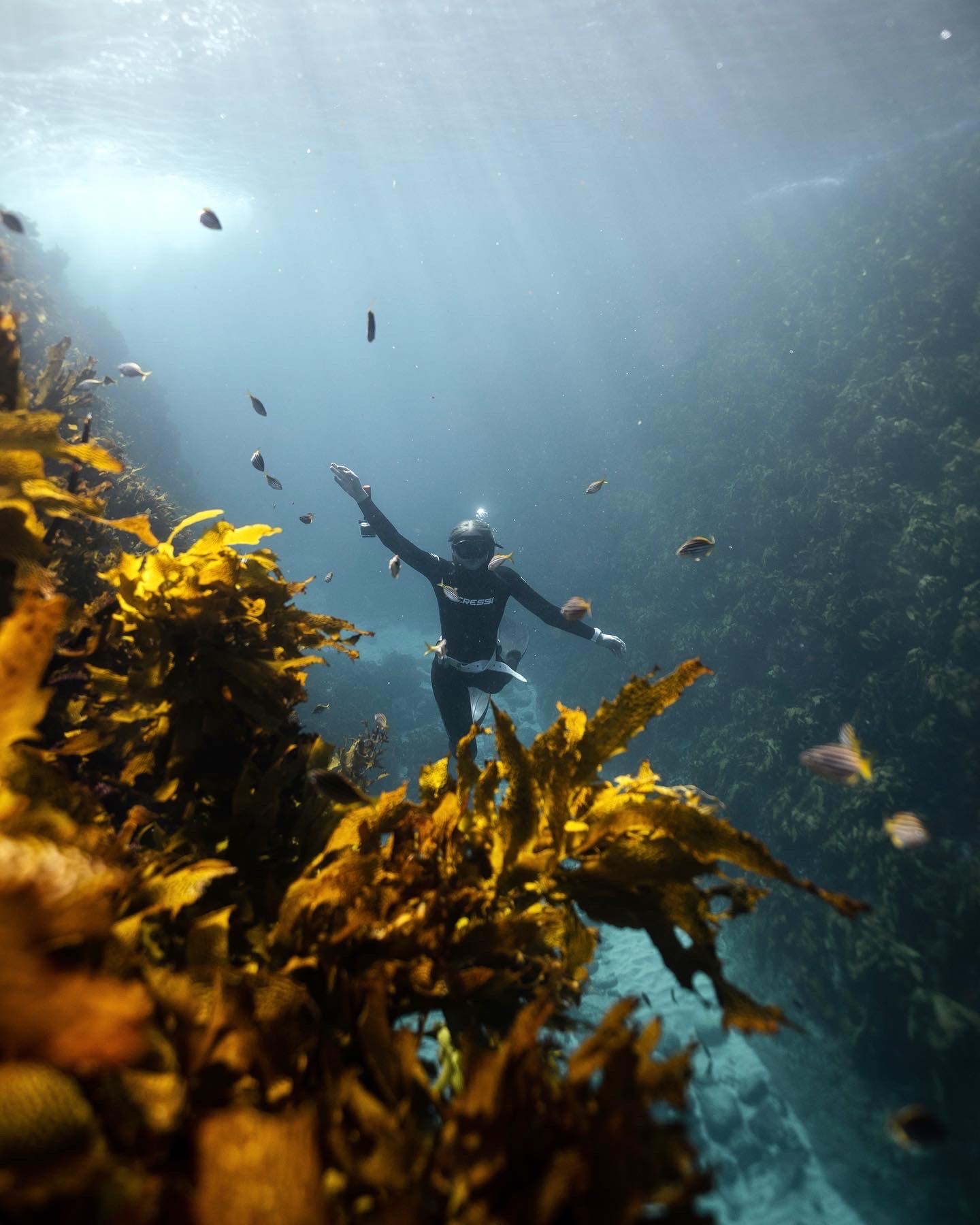 Freedive Taster Course