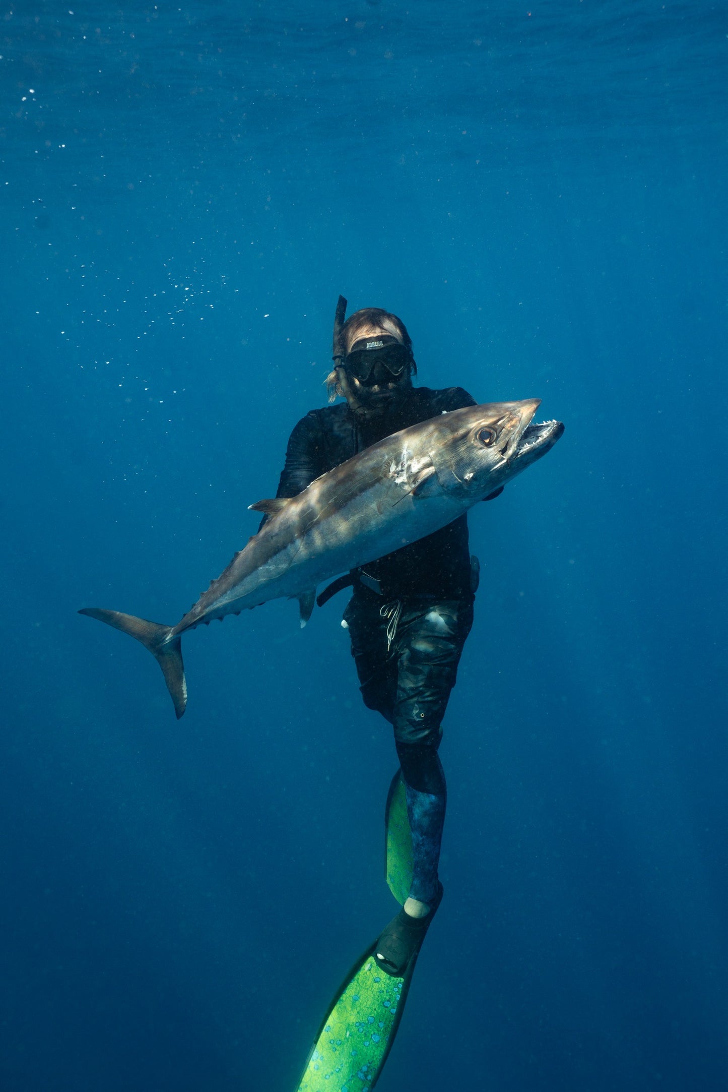 1 Day Spearfishing Course