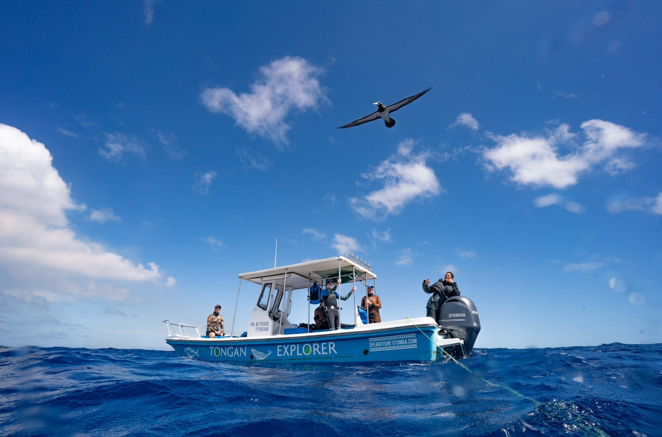 Tonga Freediving, Whale Swimming & Spearfishing Expedition