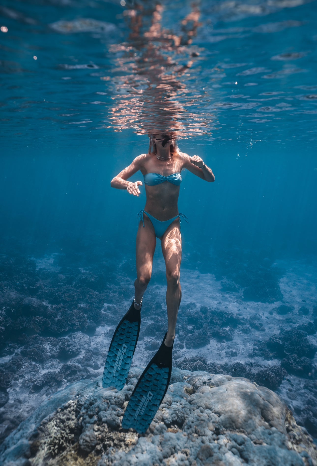 Gili Trawangan Freediving & Spearfishing Retreat