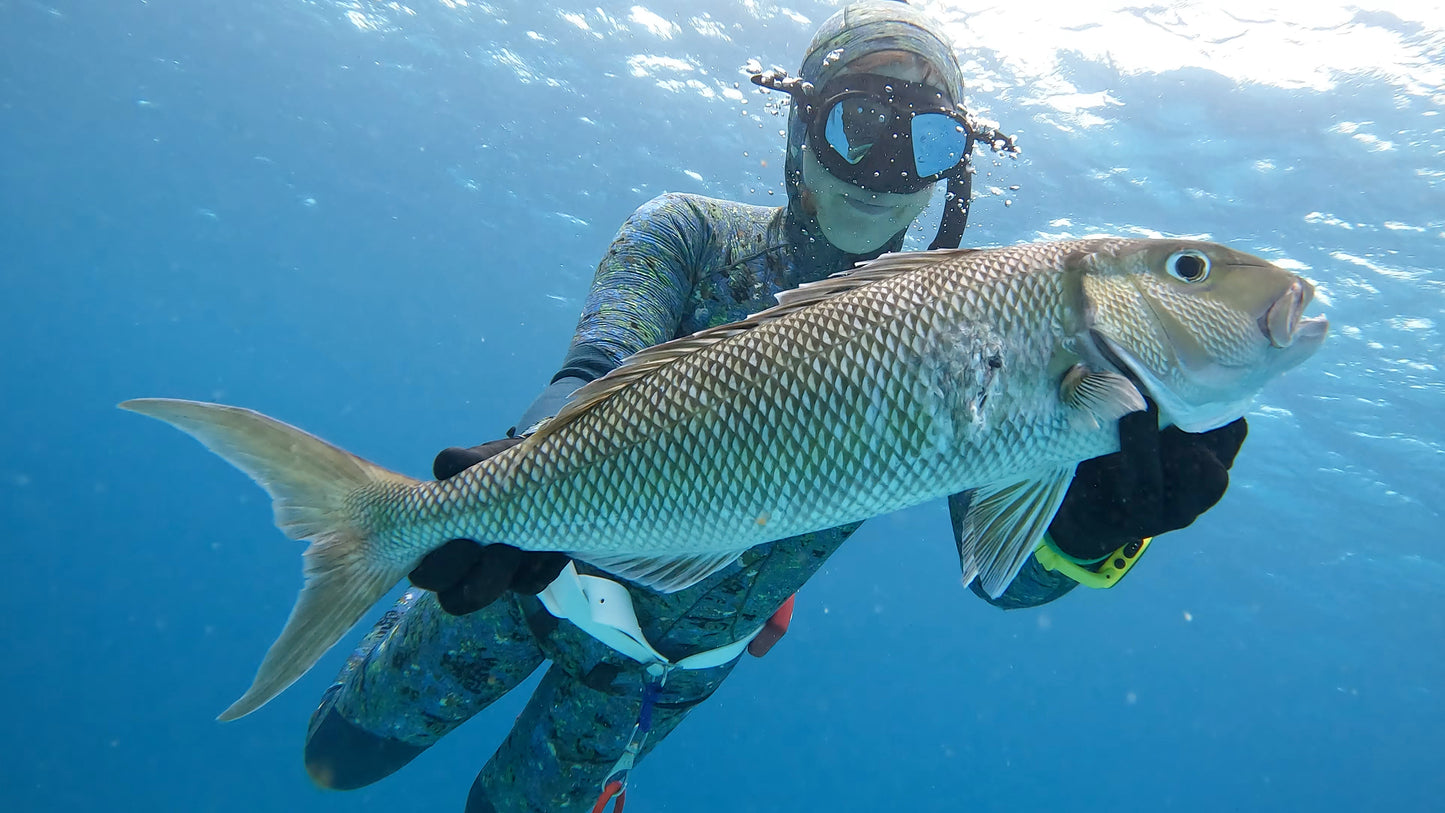 FIJI - Women's Freediving & Spearfishing Trip