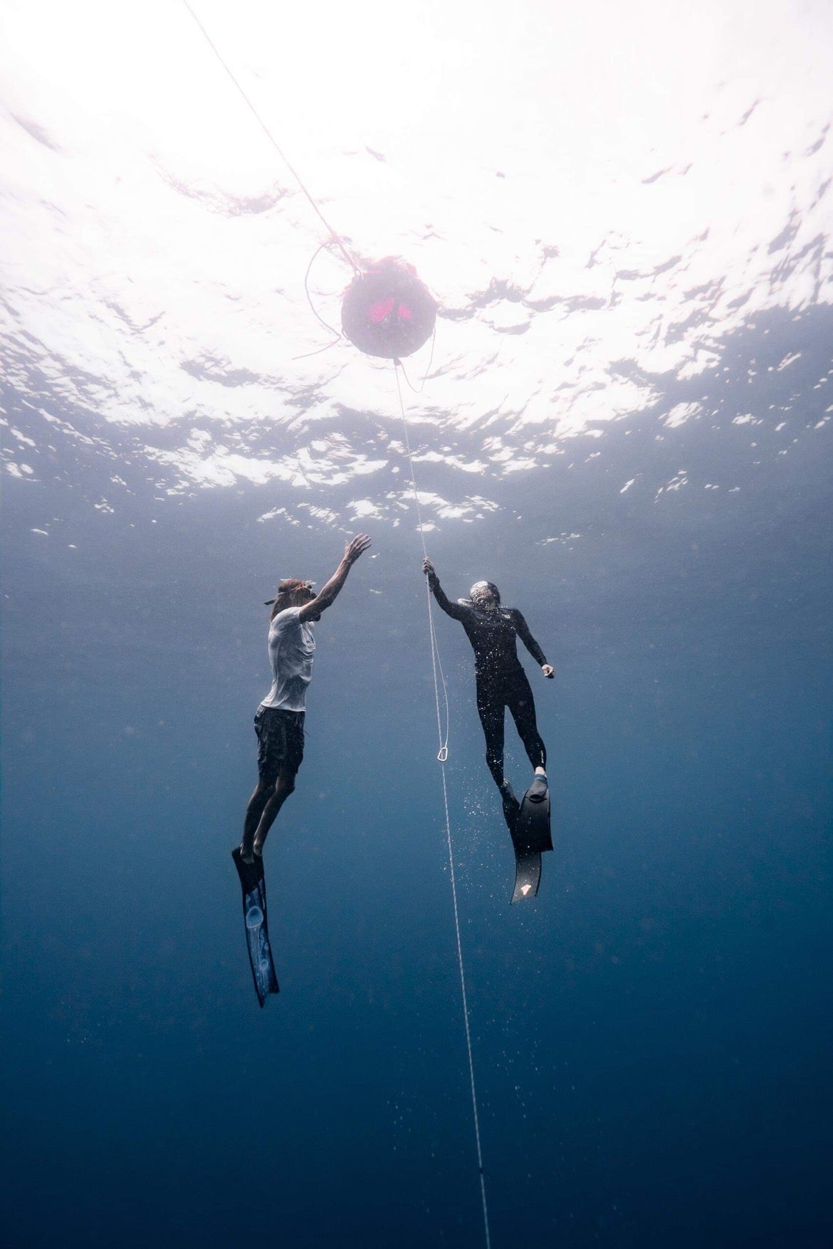 Molchanovs Wave 1 Freediving Course with Island Boat Trip