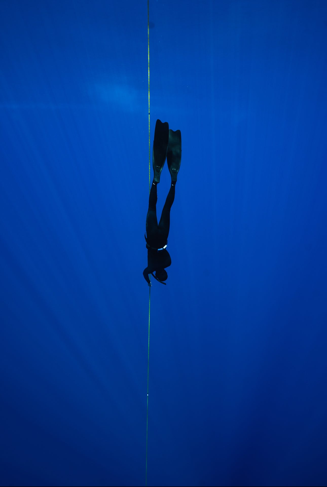 Cook Islands Humpback Whale and Freediving Trip