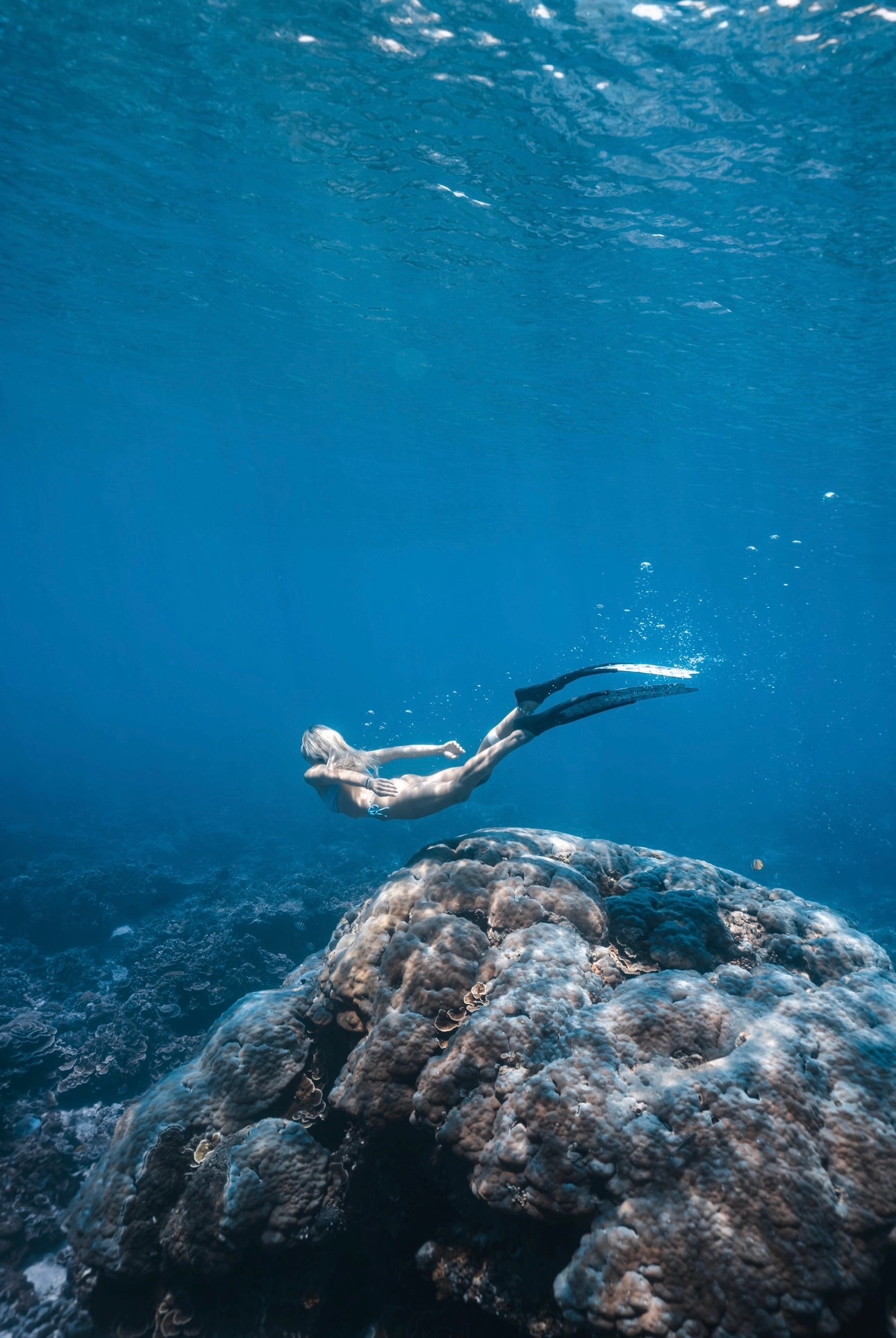 Gili Trawangan Freediving & Spearfishing Retreat