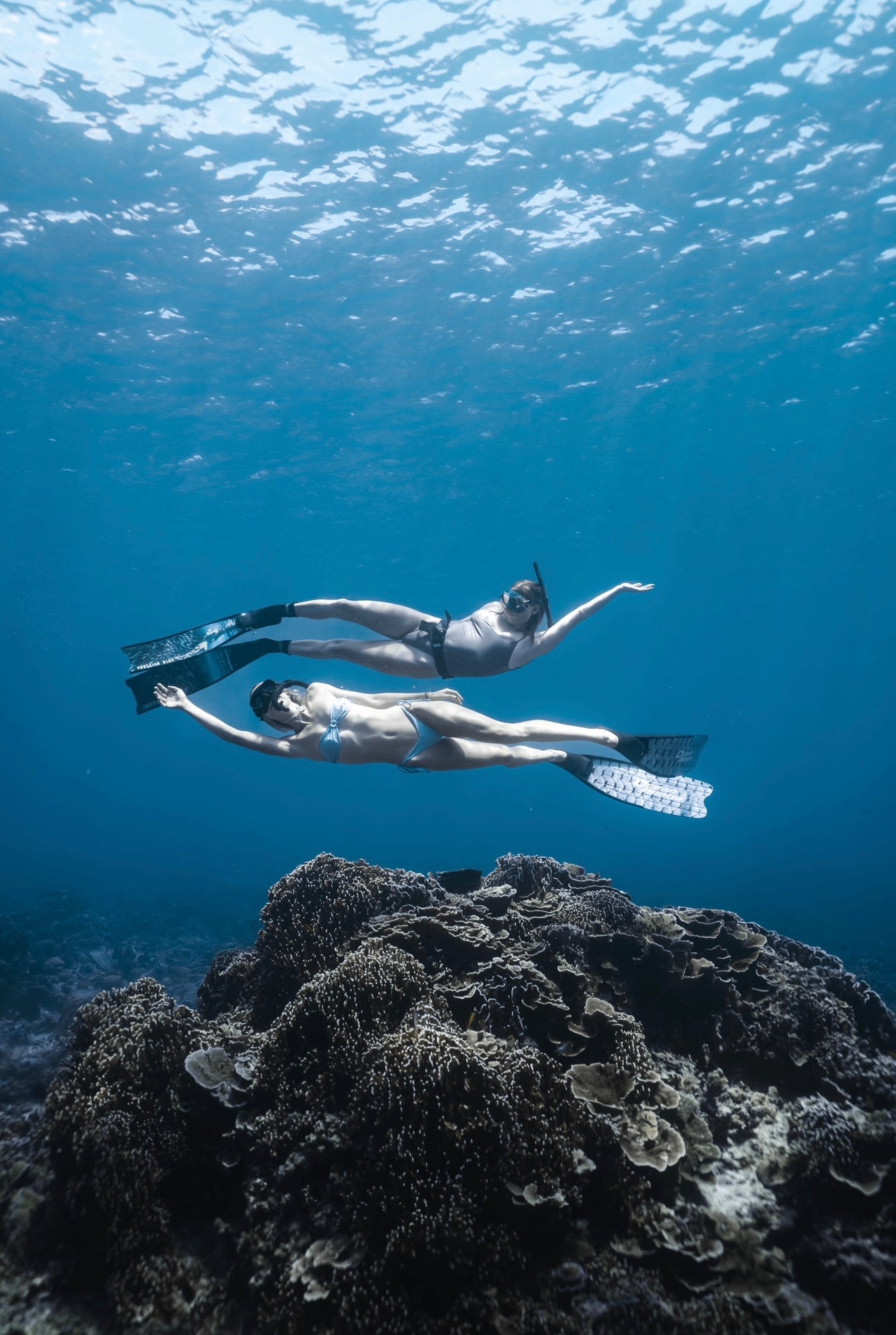 Gili Trawangan Freediving & Spearfishing Retreat