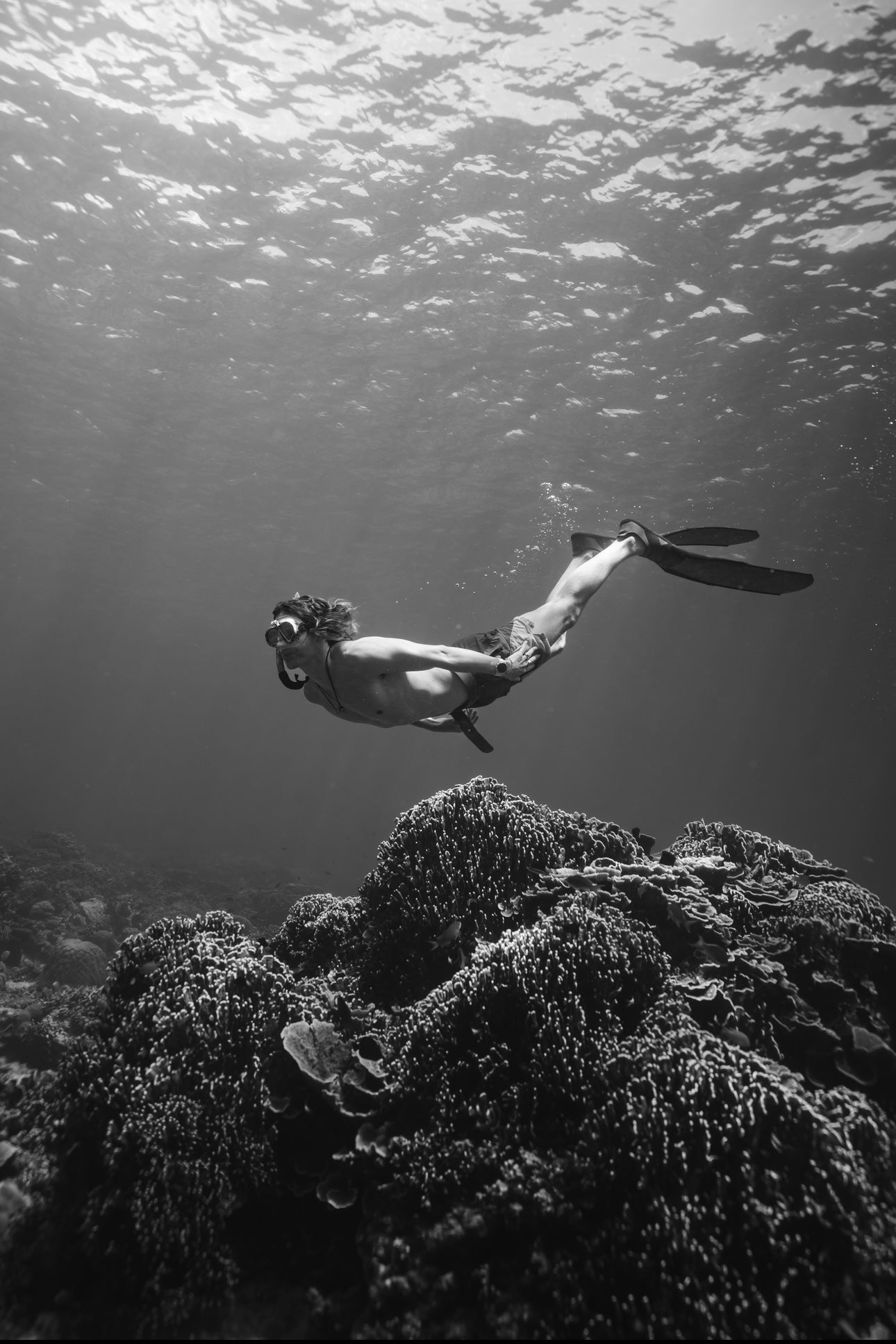 Gili Trawangan Freediving Trip