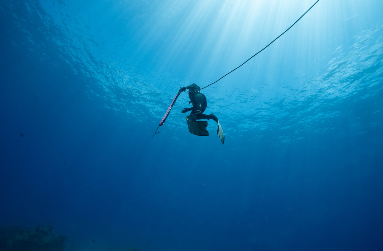 1 Day Spearfishing Course