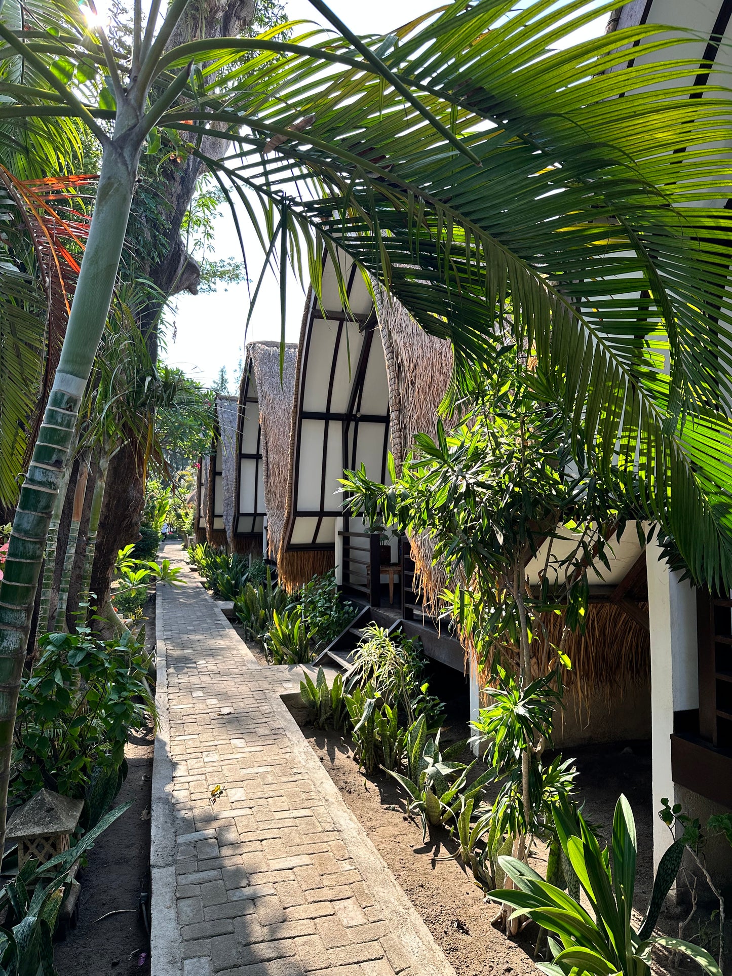 Gili Trawangan Freediving & Spearfishing Retreat