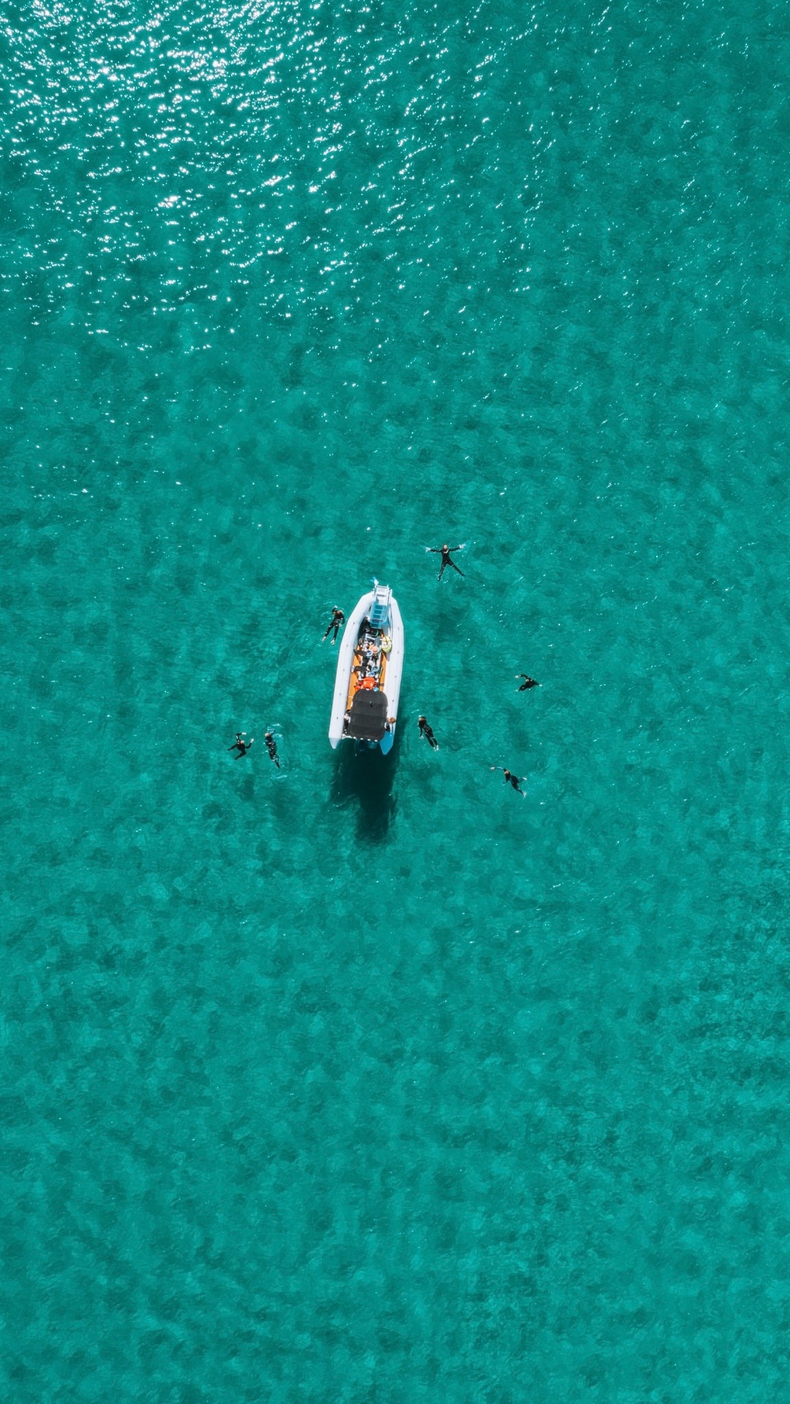 Wave 2 Advanced Freediving Course