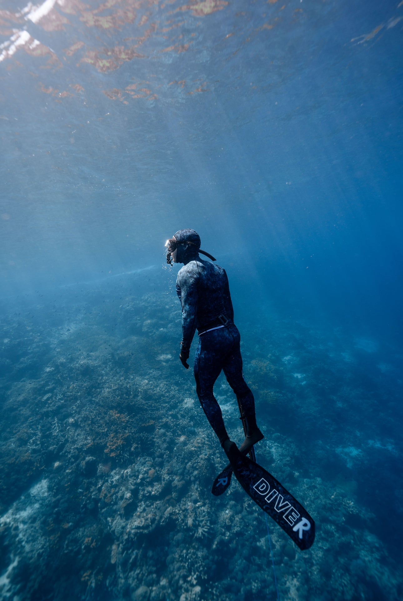 Women's Solomon Islands Spearfishing & Freediving Expedition