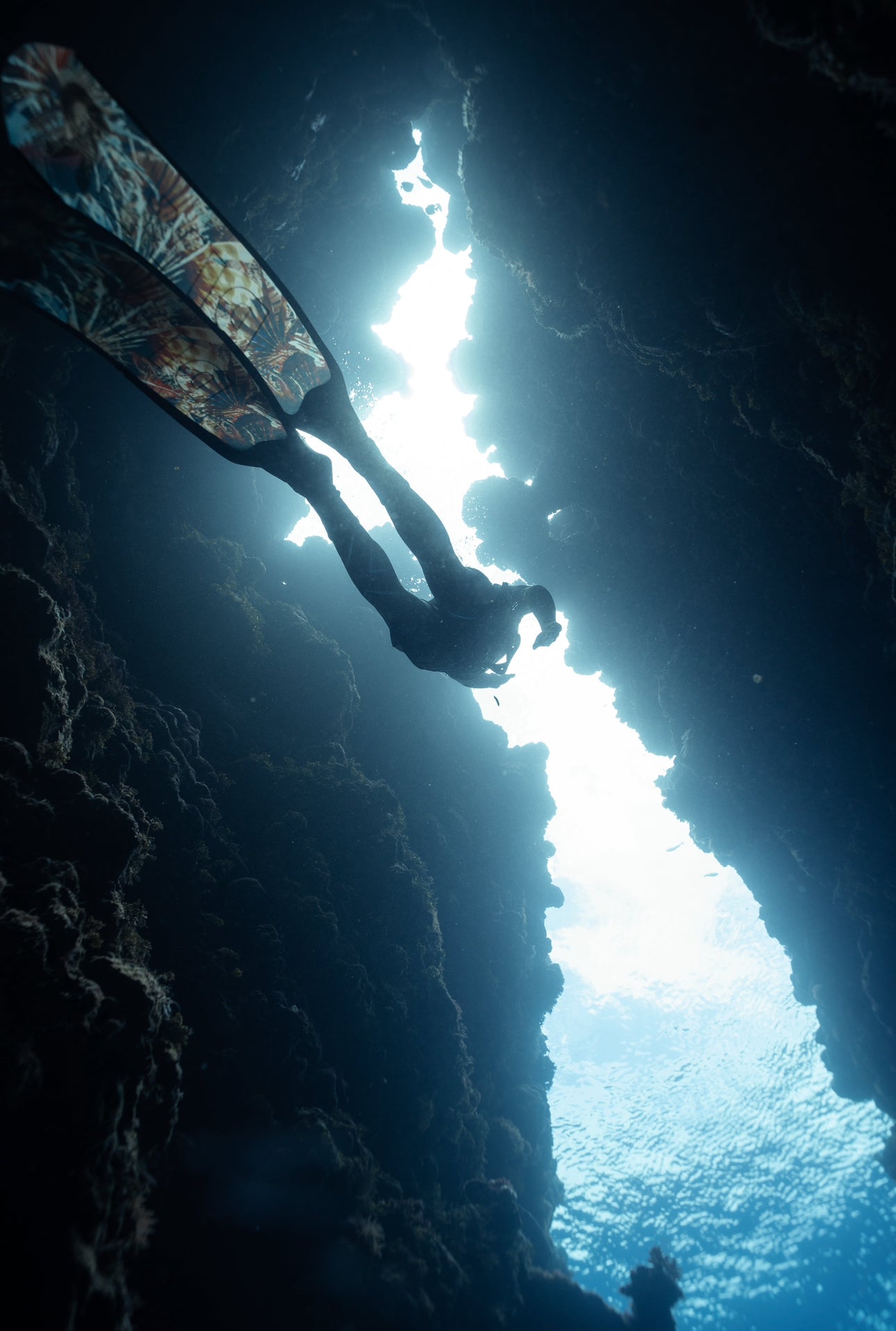 Women's Solomon Islands Spearfishing & Freediving Expedition