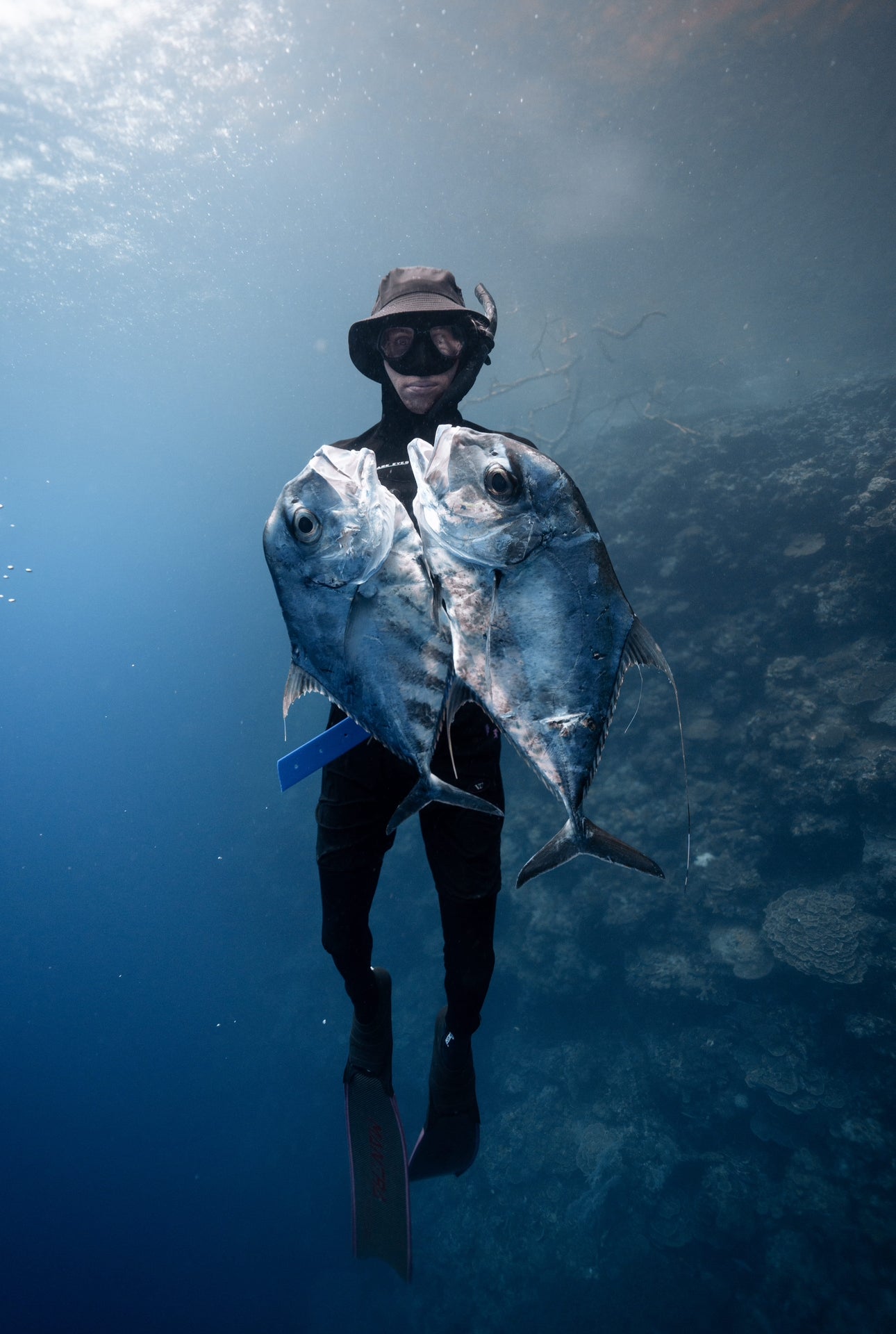 Women's Solomon Islands Spearfishing & Freediving Expedition