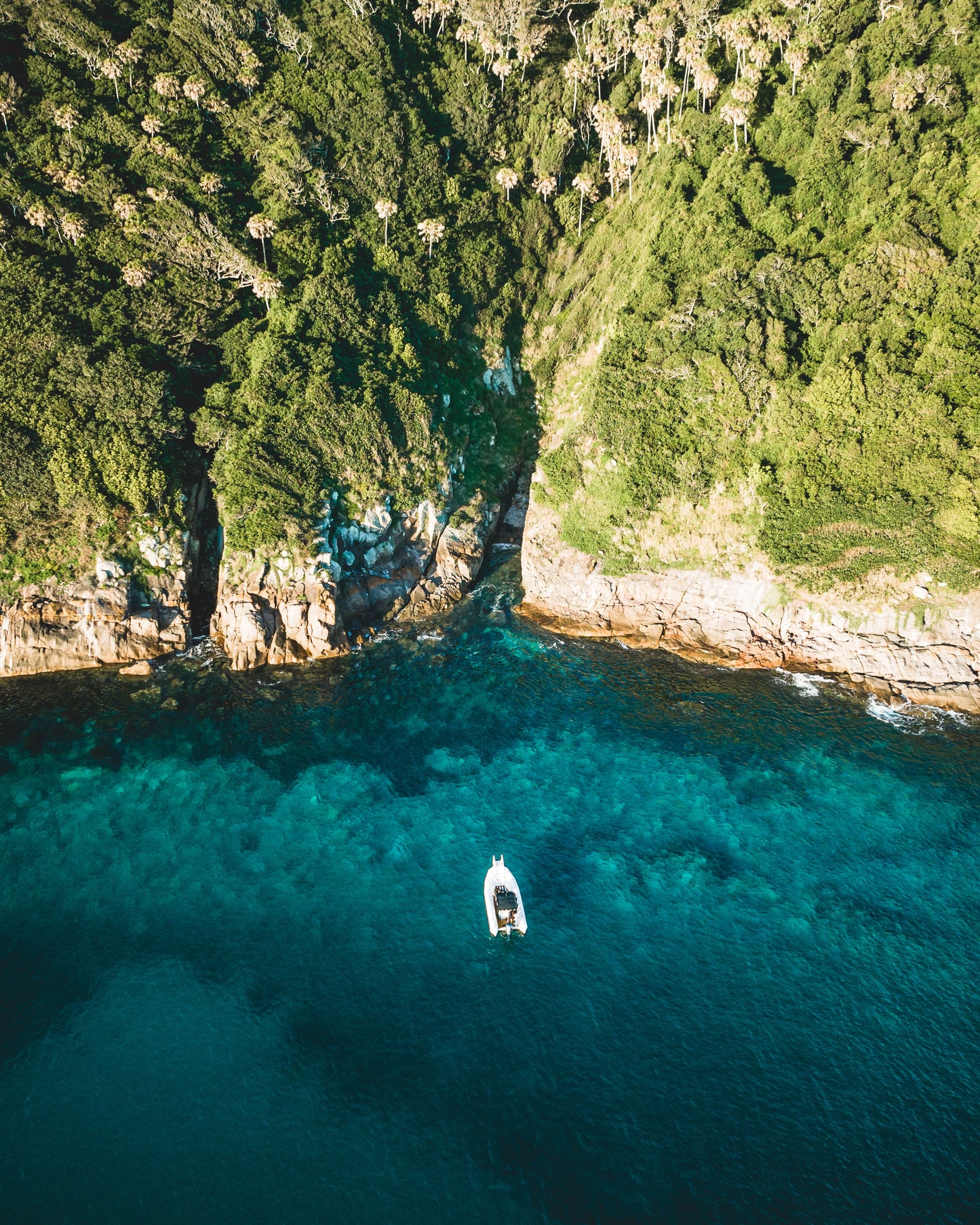 Broughton & Cabbage Tree Island Snorkel / Freedive Trip