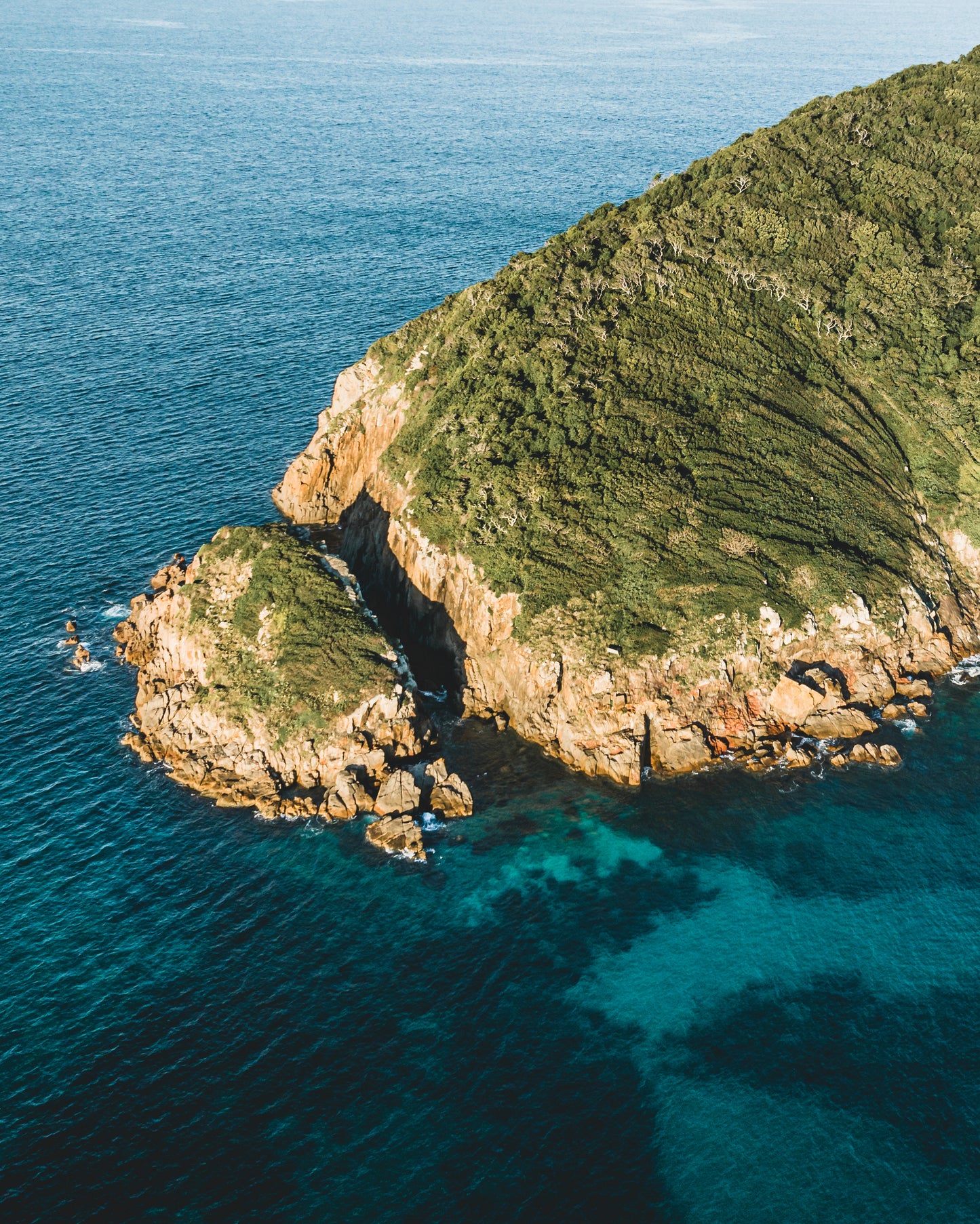 Molchanovs Wave 1 Freediving Course with Island Boat Trip