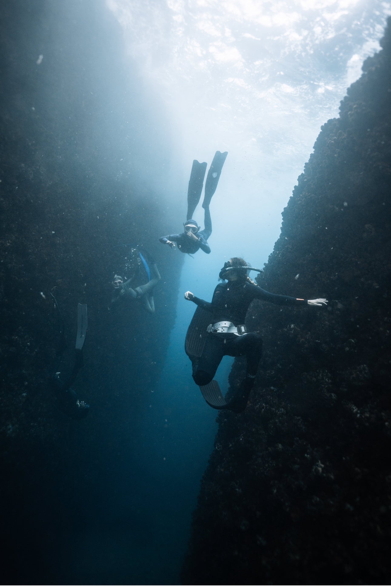 Broughton & Cabbage Tree Island Snorkel / Freedive Trip