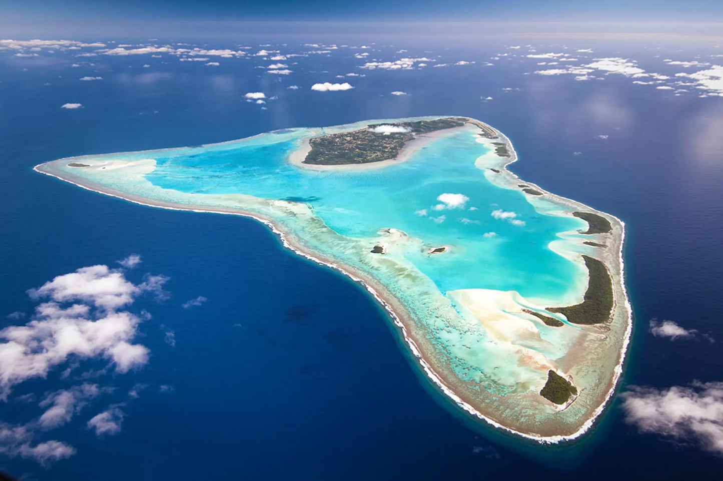 Cook Islands Humpback Whale and Freediving Trip