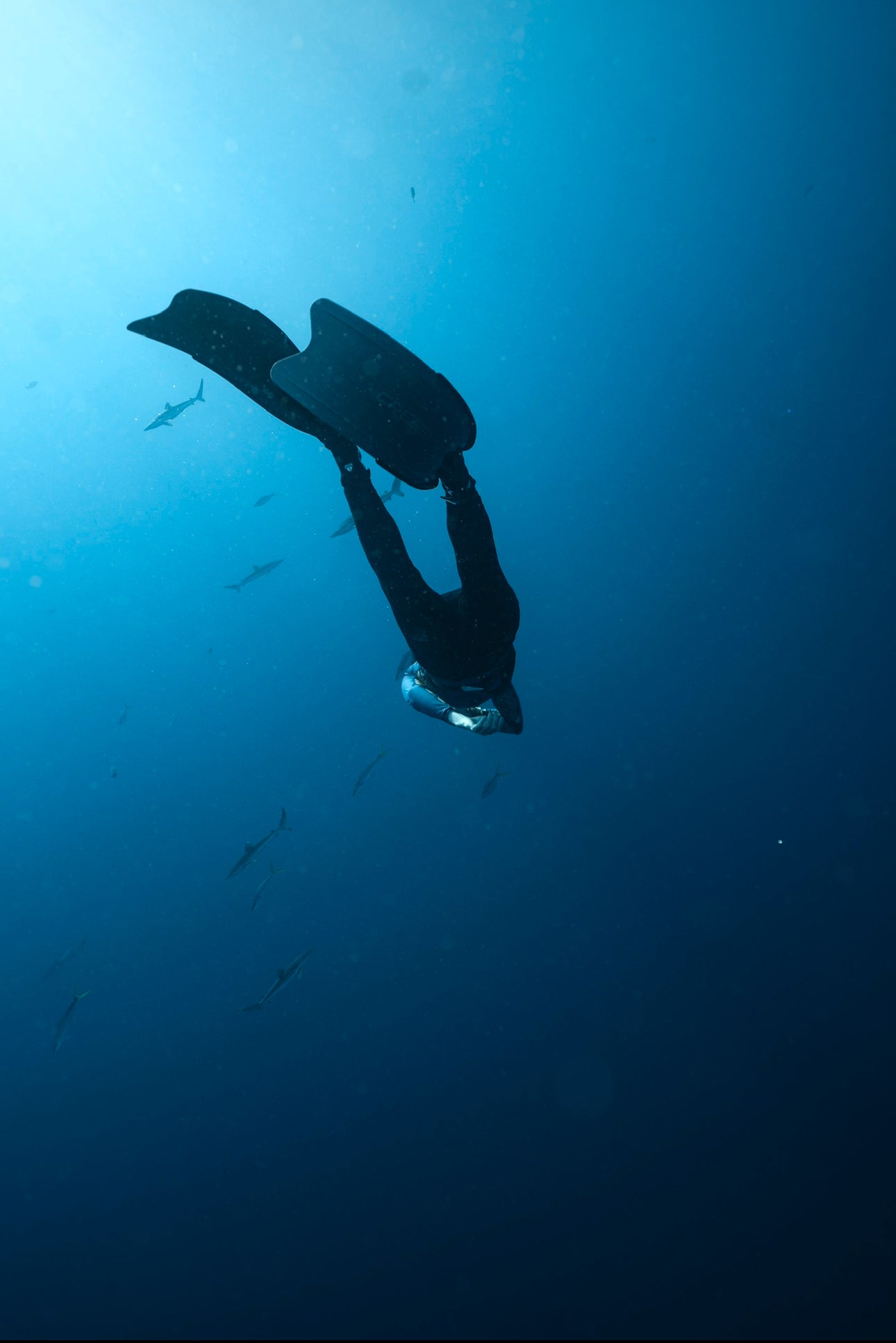 Women's Solomon Islands Spearfishing & Freediving Expedition