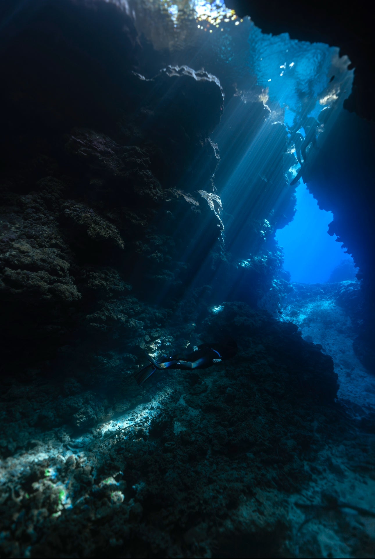 Women's Solomon Islands Spearfishing & Freediving Expedition