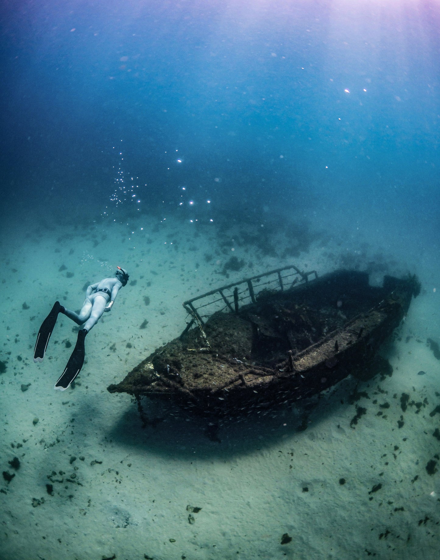 Broughton & Cabbage Tree Island Snorkel / Freedive Trip