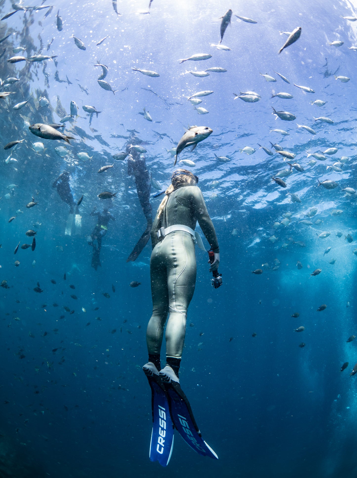 Freedive Taster Course