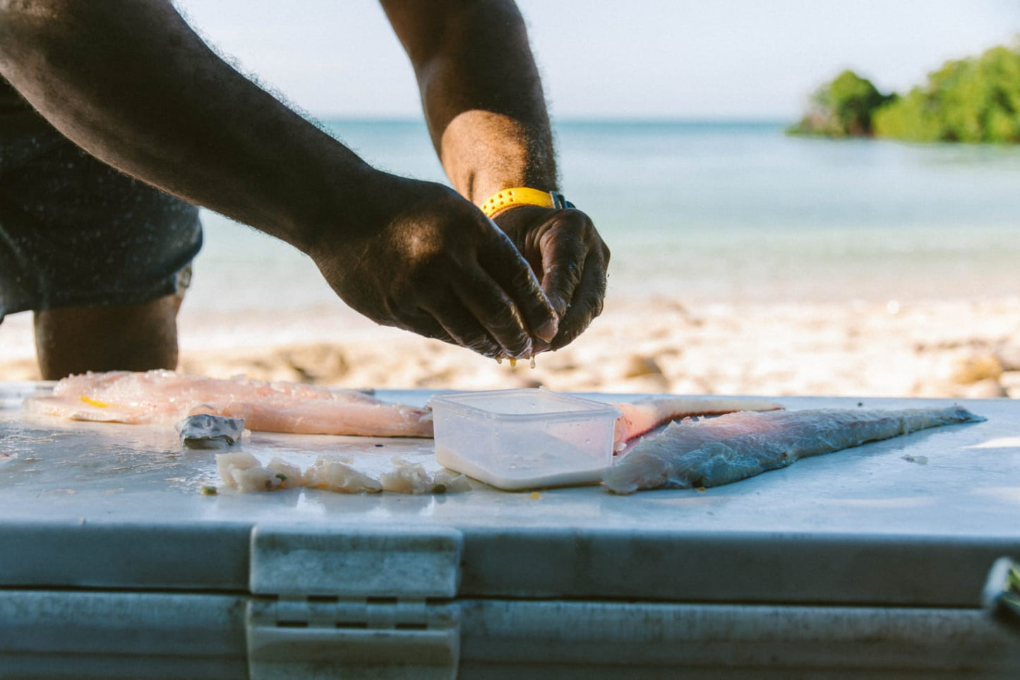 FIJI - Women's Freediving & Spearfishing Trip