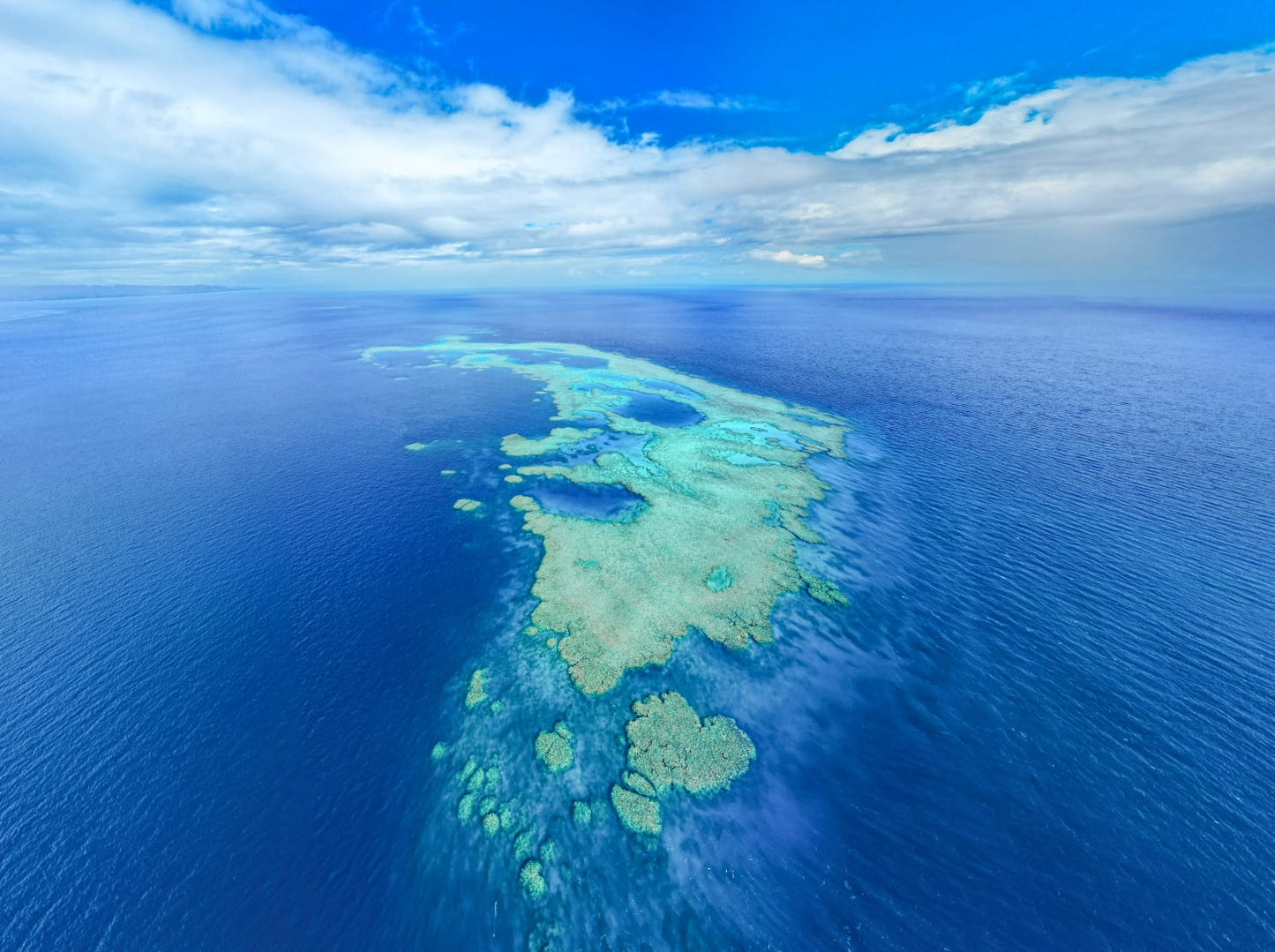 FIJI - Women's Freediving & Spearfishing Trip