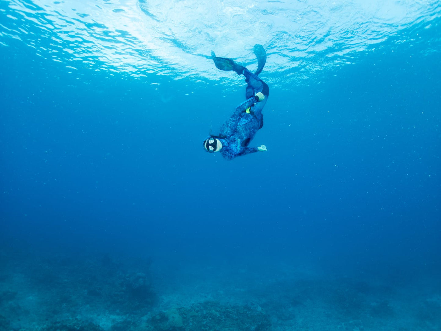 Fiji Freediving & Spearfishing Trips 2026