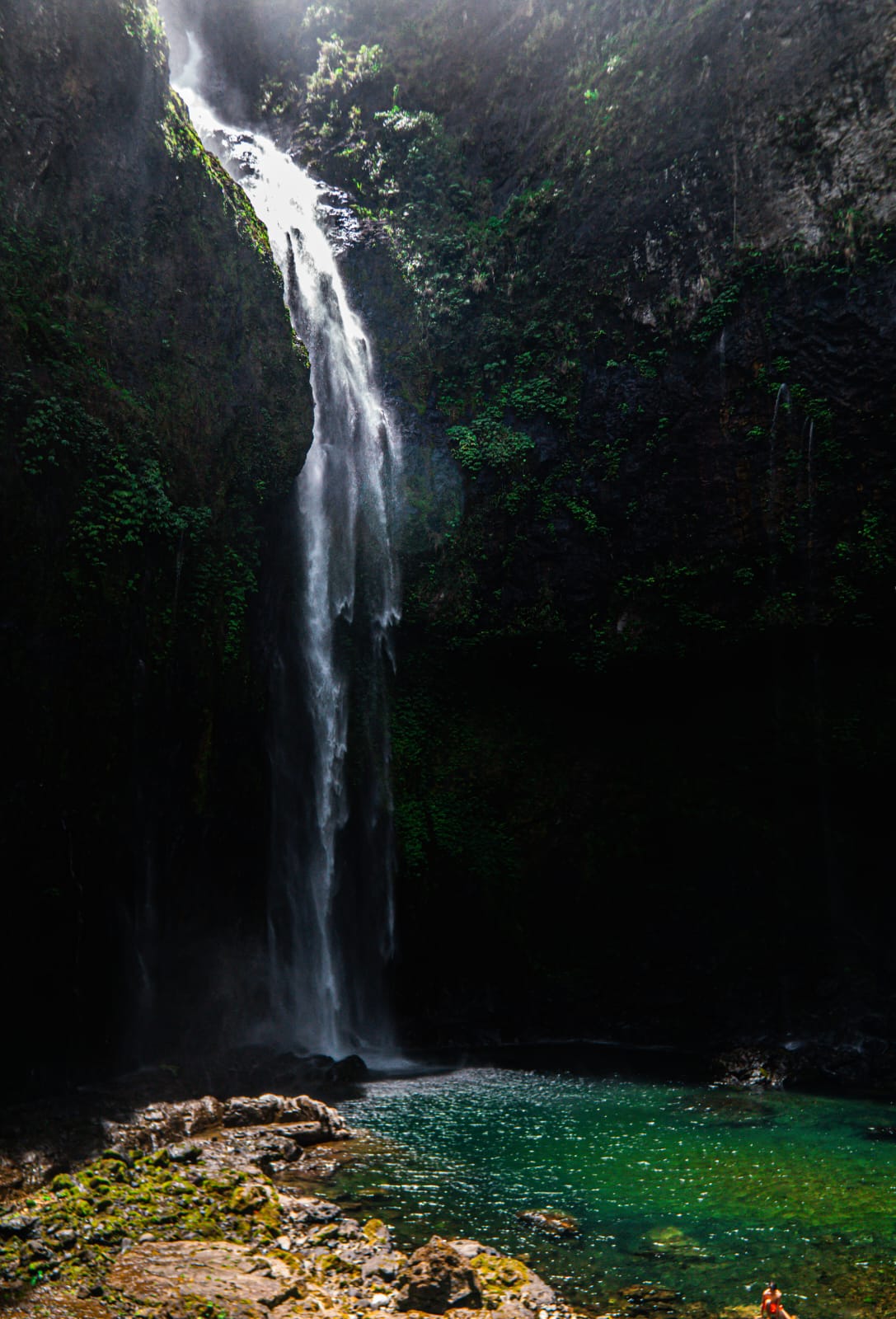 FIJI - Women's Freediving & Spearfishing Trip