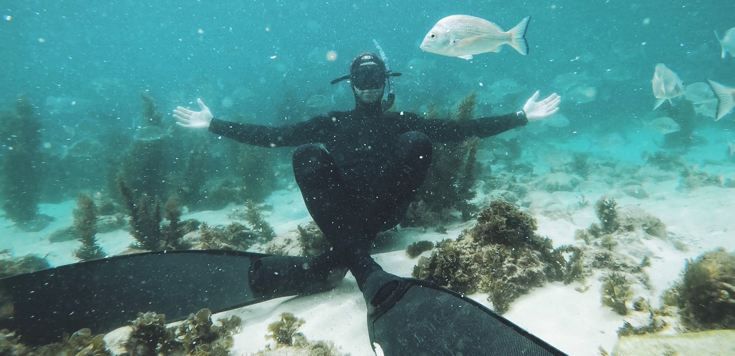 Fly Point Snorkel Tour - Nelson Bay/Port Stephens