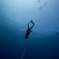 Freedive Instructor Course