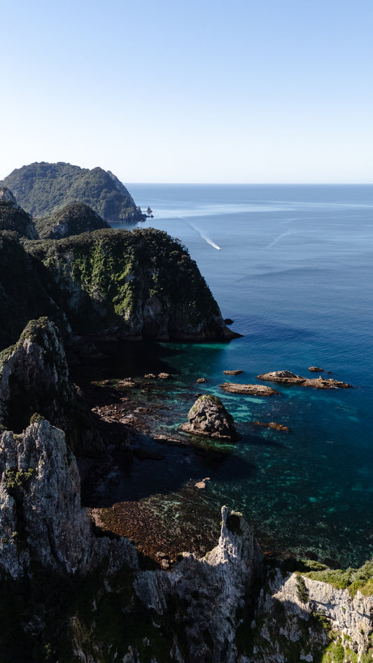 New Zealand Spearfishing Trip