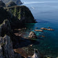 New Zealand Spearfishing Trip