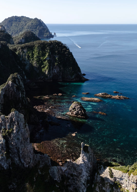 New Zealand Spearfishing Trip