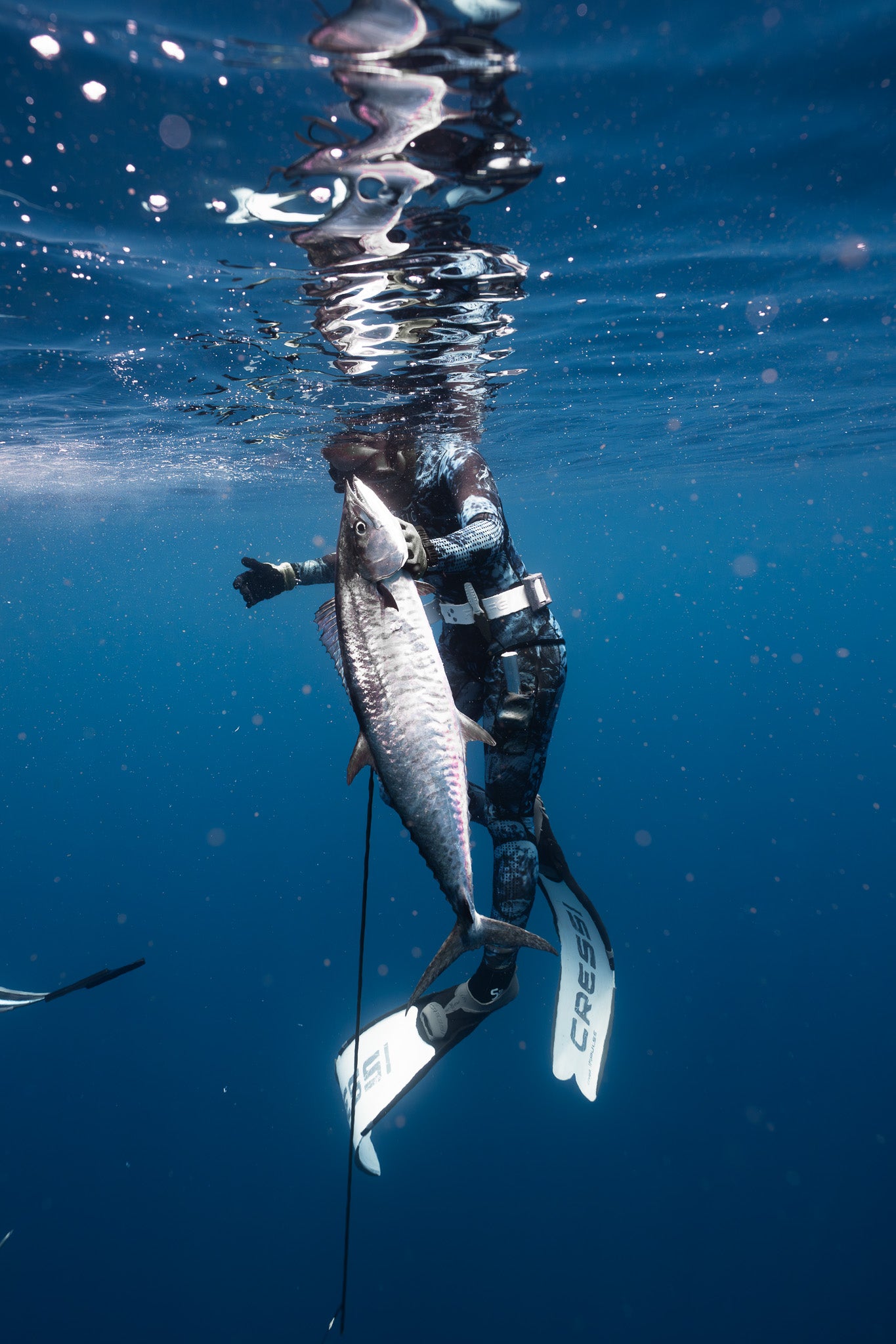 Fiji Freediving & Spearfishing Trip