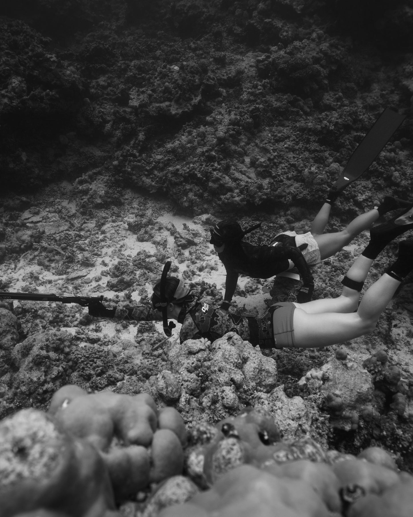 1 Day Spearfishing Course