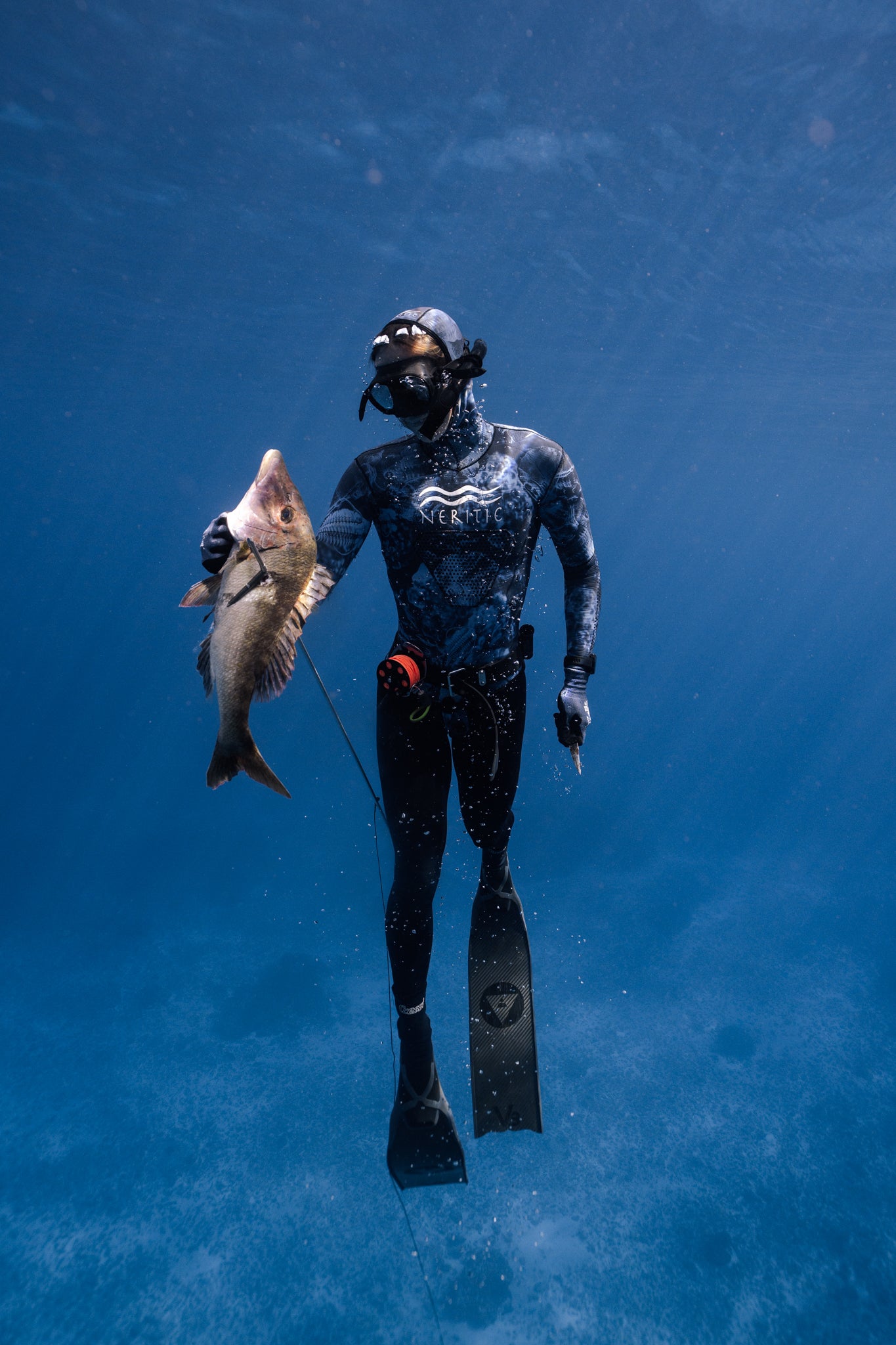 Fiji Freediving & Spearfishing Trip