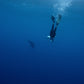 Fiji Spearfishing, Surfing & Freediving Trip