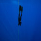 Cook Islands Humpback Whale and Freediving Trip