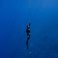 Cook Islands Humpback Whale and Freediving Trip