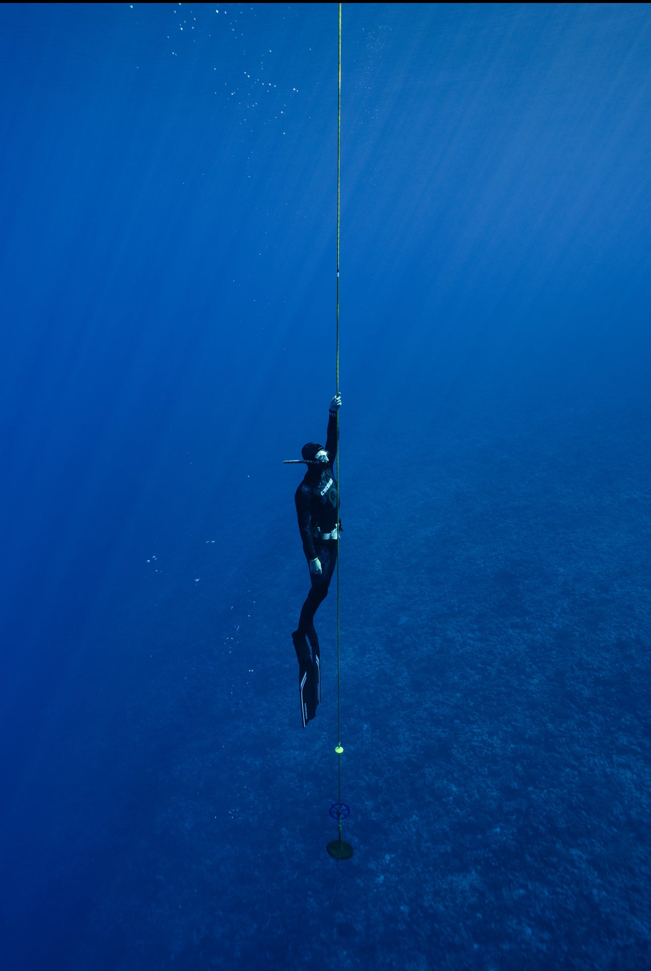 Cook Islands Humpback Whale and Freediving Trip