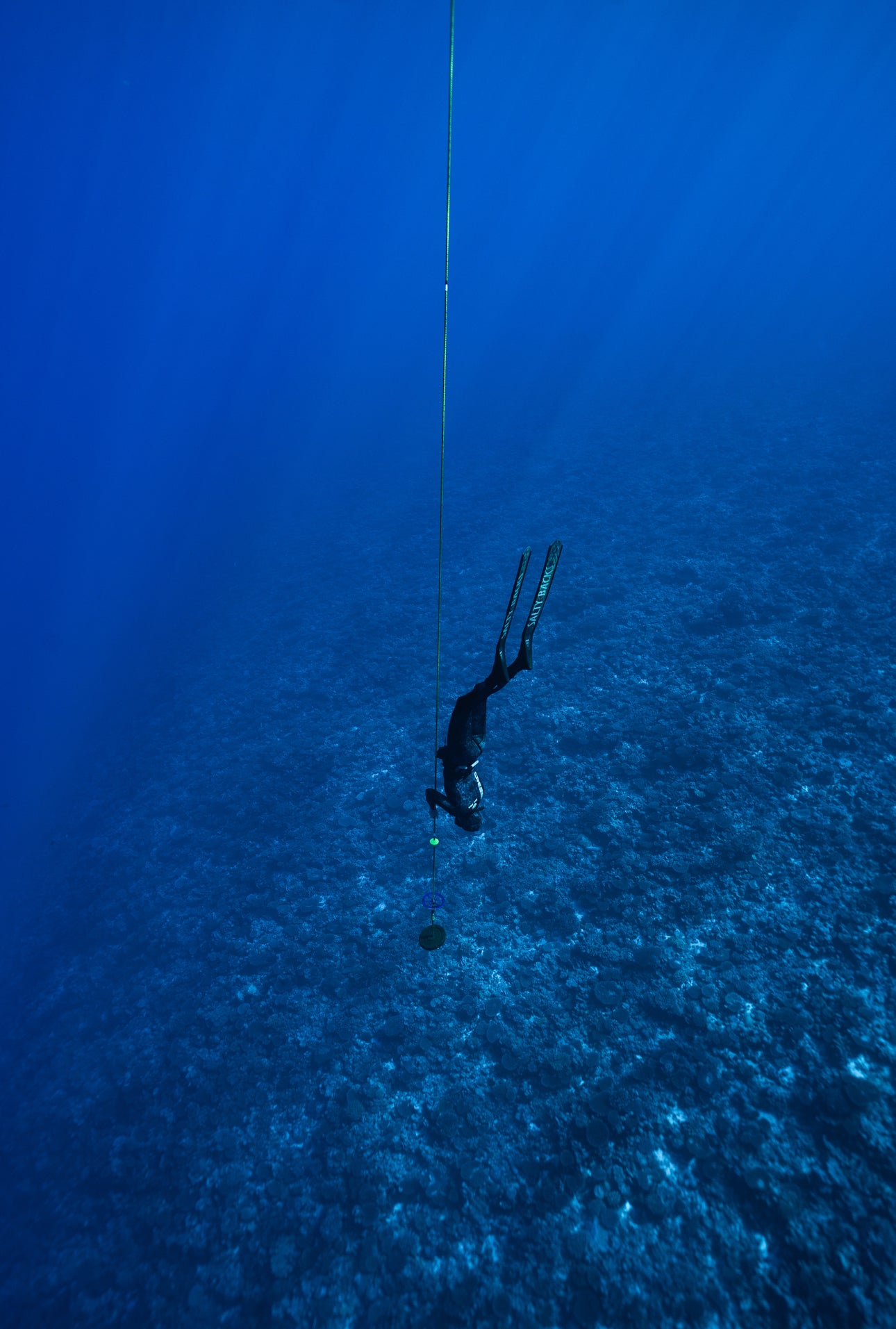 Gili Trawangan Freediving Trip
