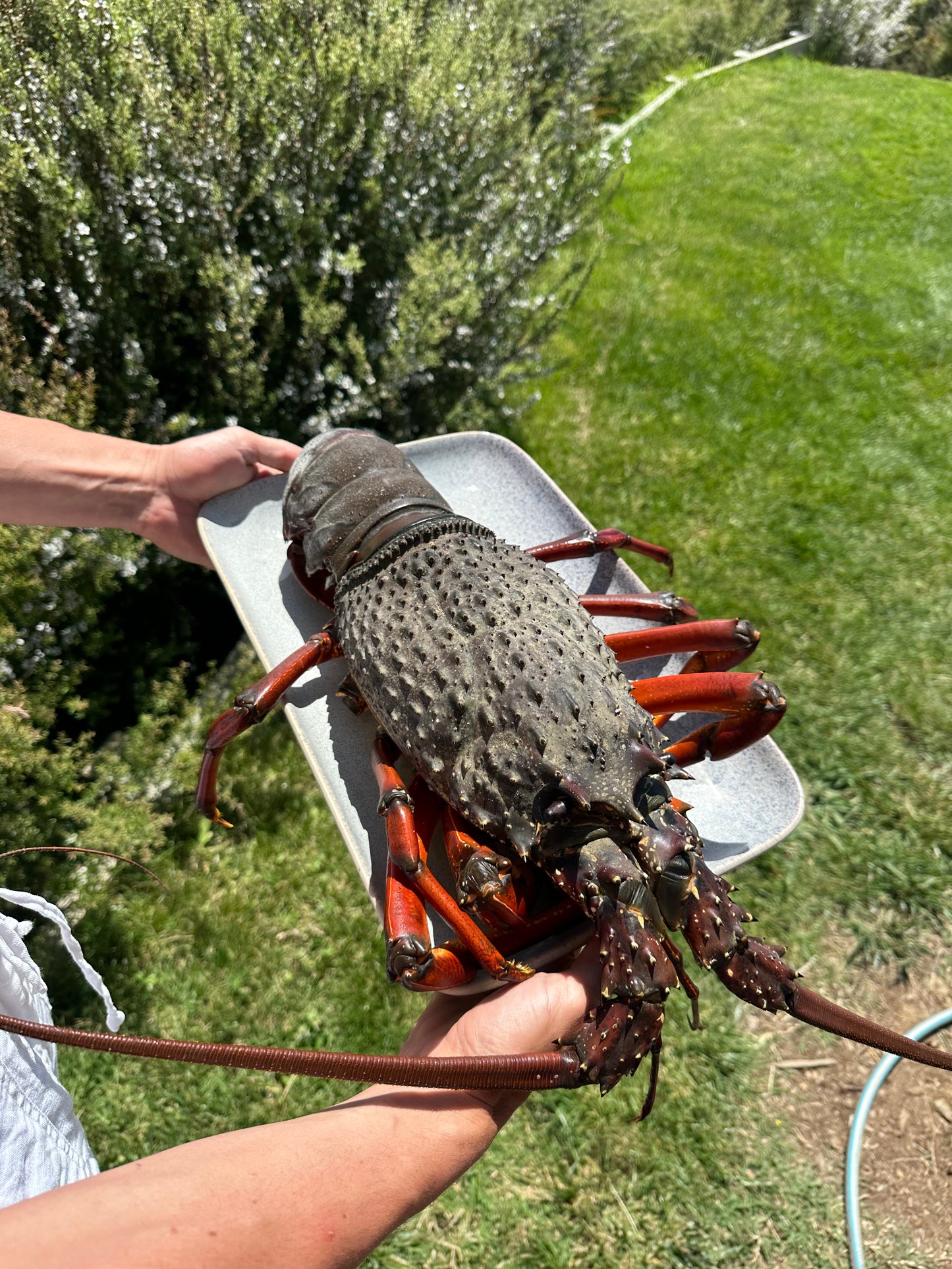 Crayfish Grabbin' Course
