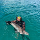New Zealand Spearfishing Trip