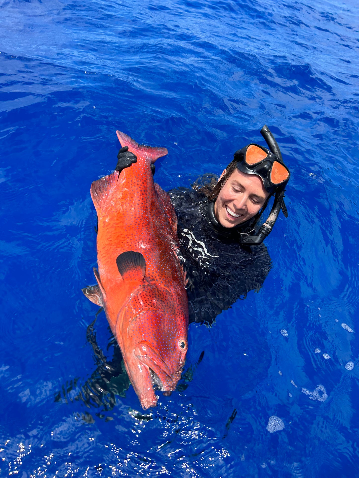 Tonga Whale Swim & Spearfishing Retreat - Eua, Kingdom of Tonga