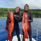 Tonga Freediving, Whale Swimming & Spearfishing Expedition