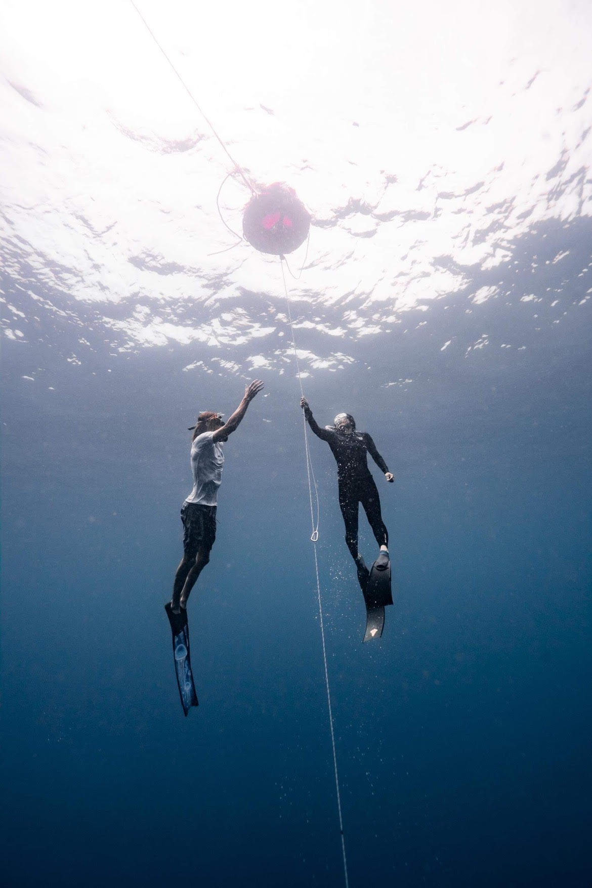 Freedive Training (Depth and Pool)